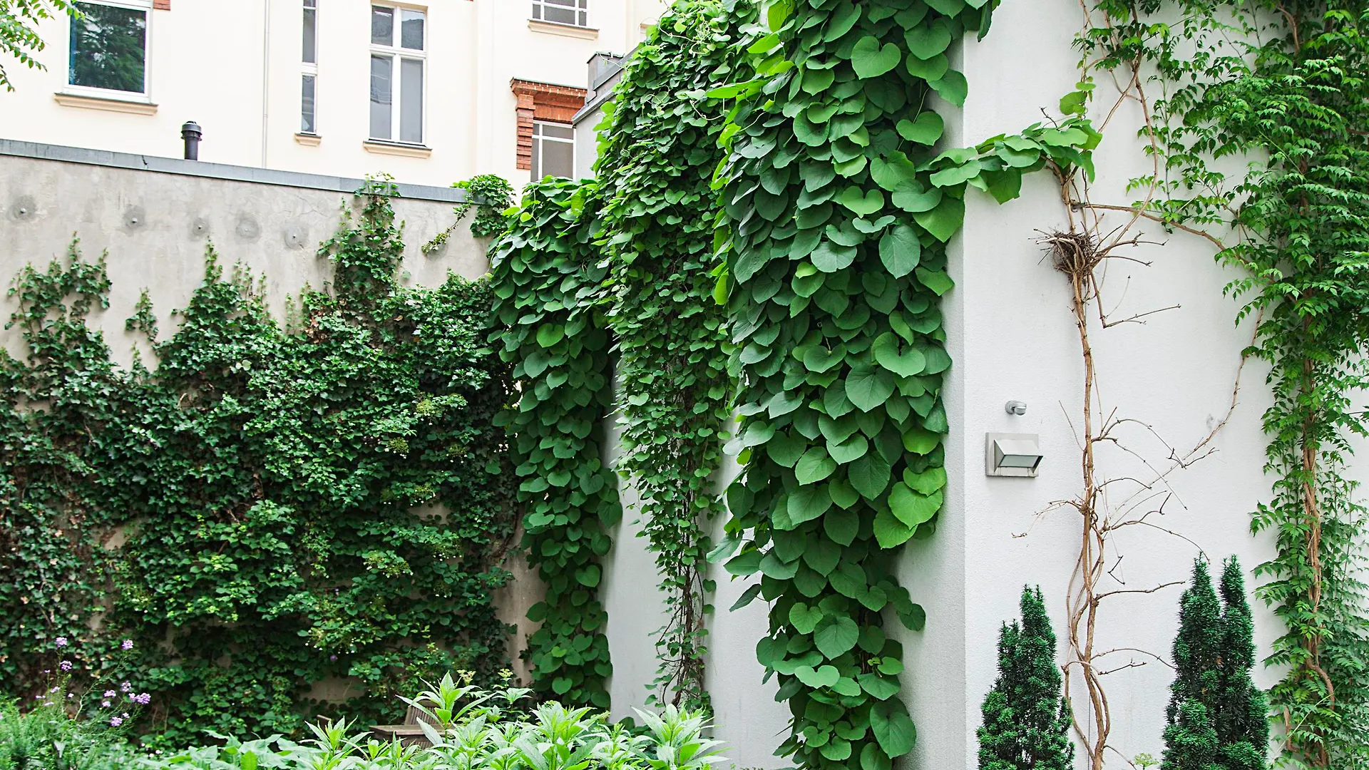 Quentin Design Hotel Berlin 4*,